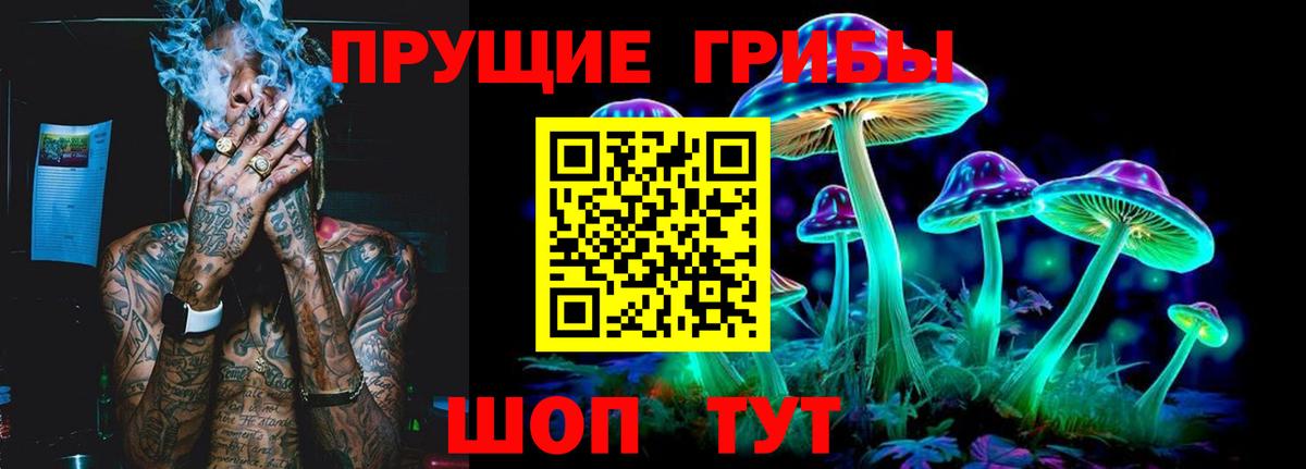Галлюциногенные грибы Cubensis  где купить   Каменск-Уральский  Вход с VPN 